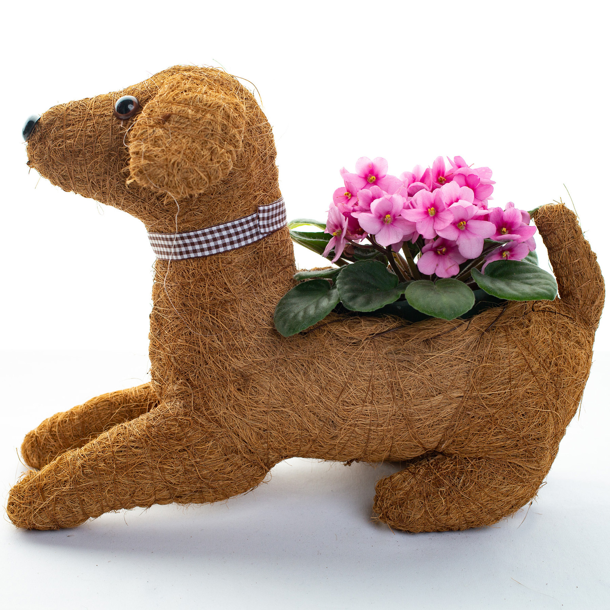 Ultimate Innovations, Coco Animal Dog Sitting Novelty Planters, Model # CASIT26